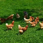 Bed & Breakfast Bnb-blomberg