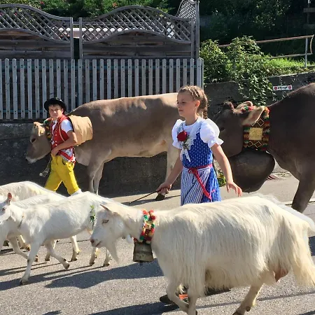 Bnb-blomberg Oda ve Kahvaltı *