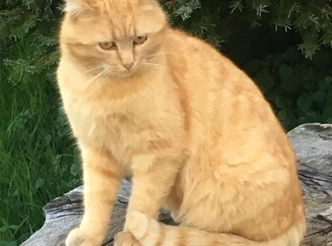 Bnb-blomberg Bed & Breakfast *