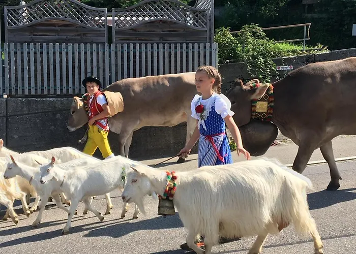 Bnb-blomberg Bed & Breakfast *