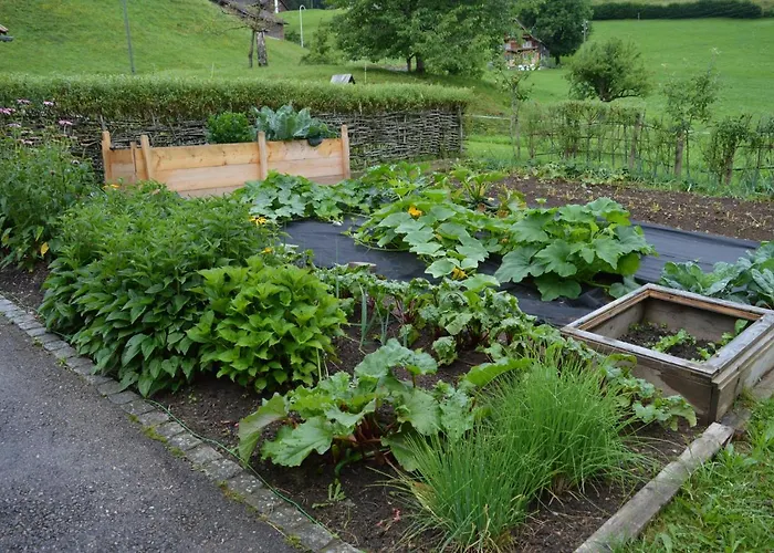 Bnb-blomberg Ebnat-Kappel