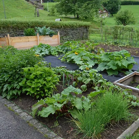 Bnb-blomberg Ebnat-Kappel