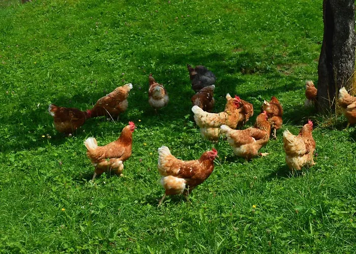 Nocleg ze śniadaniem Bnb-blomberg